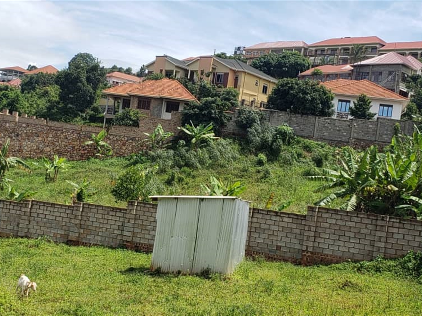 Residential land for sale in Bwebajja Wakiso Uganda