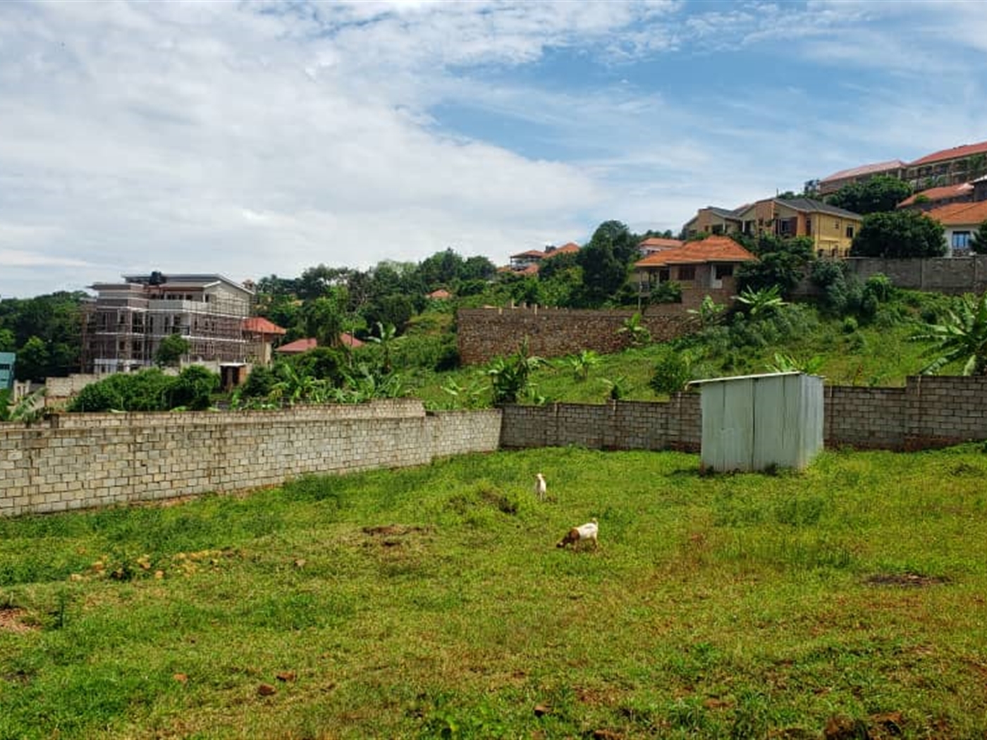 Residential land for sale in Bwebajja Wakiso Uganda