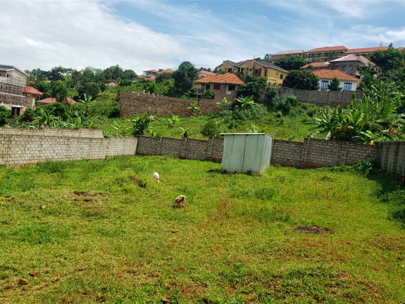 Residential land for sale in Bwebajja Wakiso Uganda