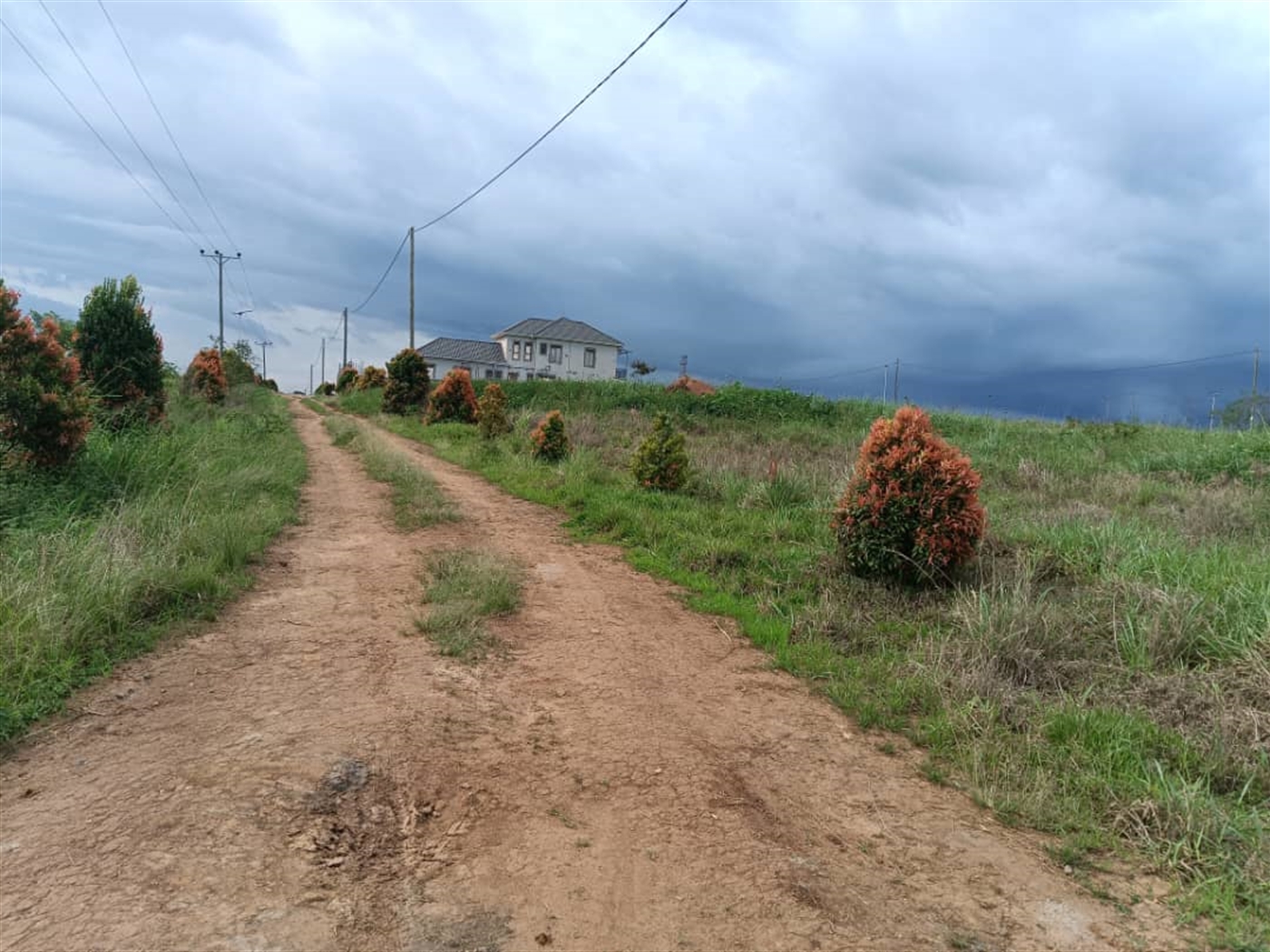 Residential land for sale in Sonde Wakiso Uganda