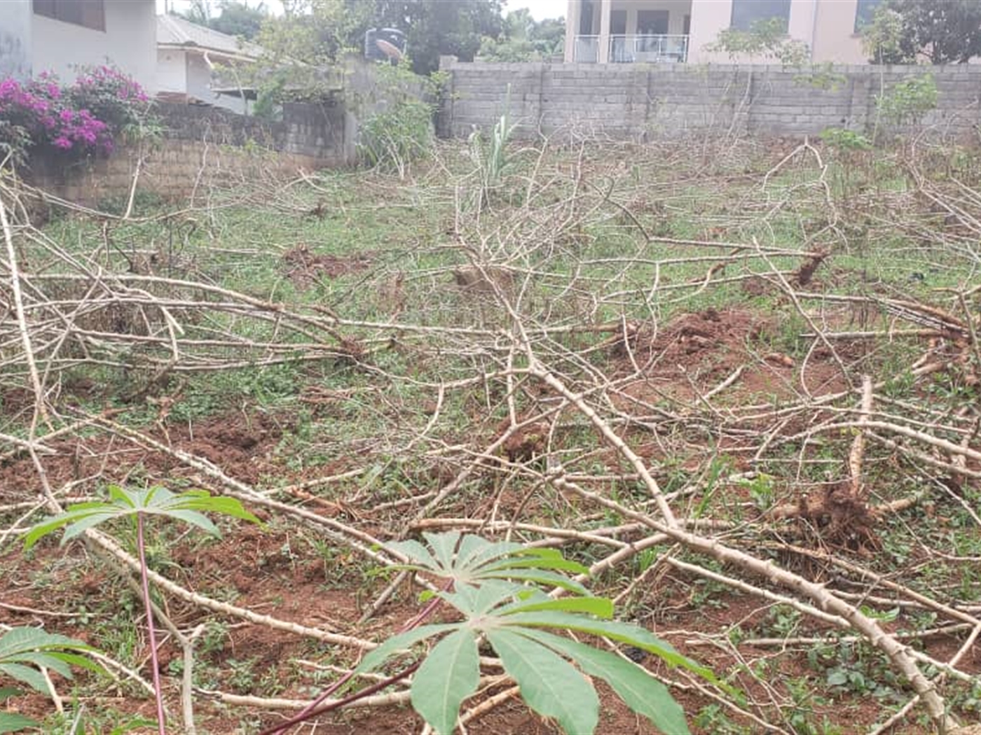 Residential land for sale in Bwebajja Wakiso Uganda