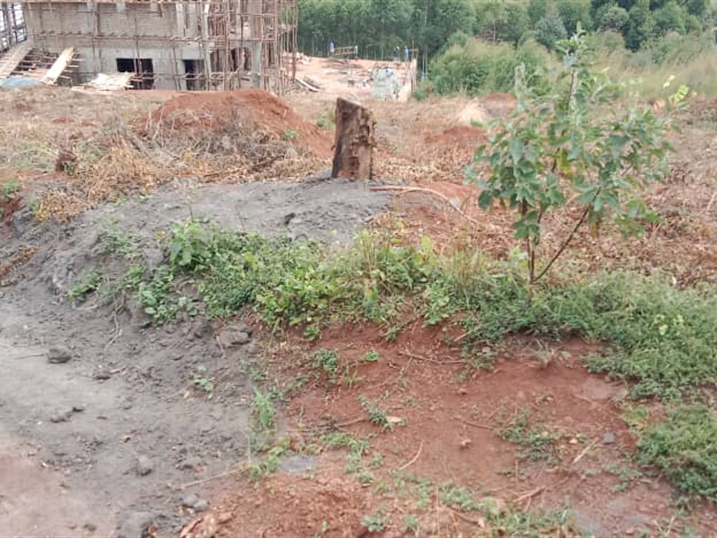 Residential land for sale in Bwebajja Wakiso Uganda
