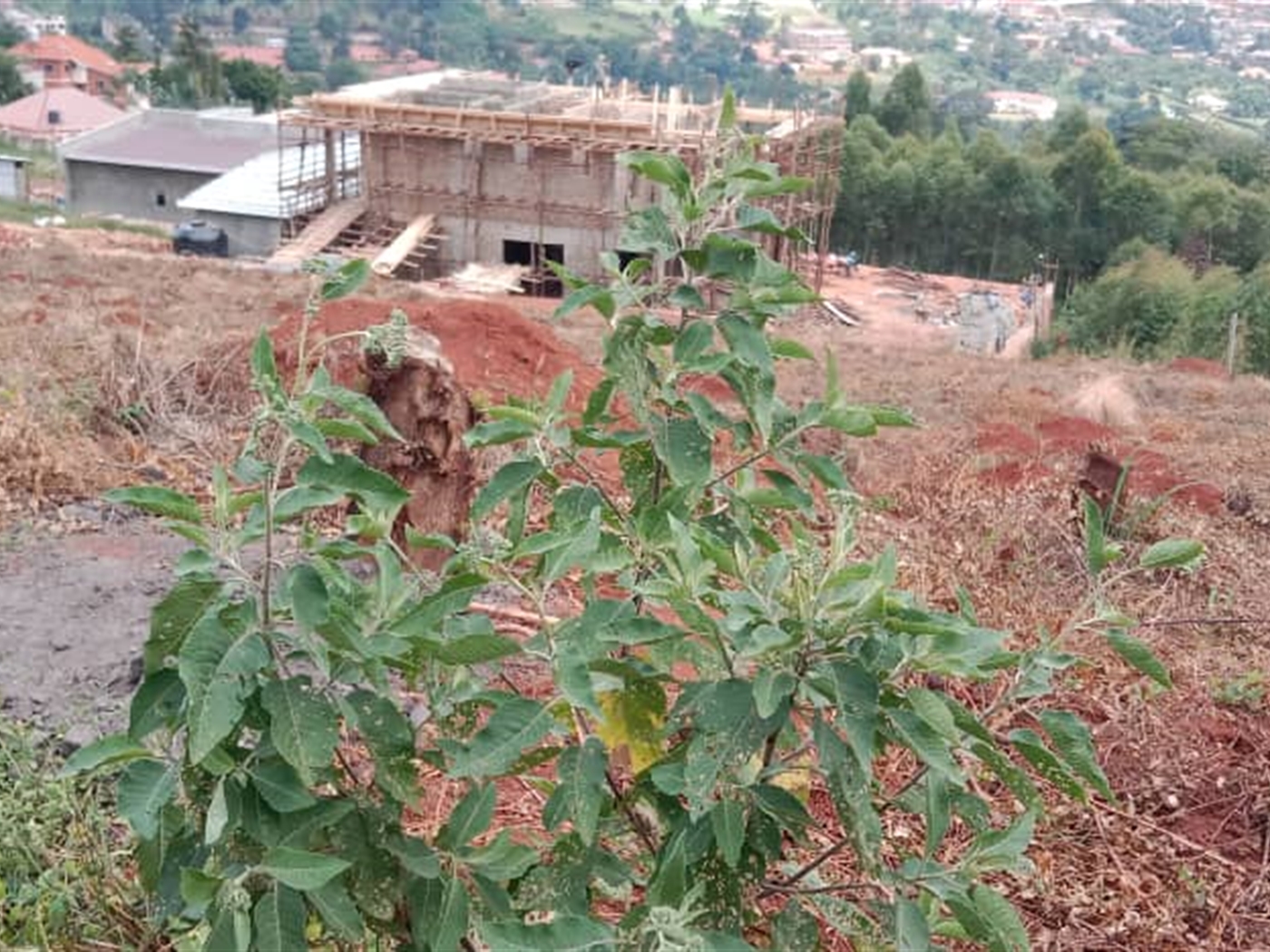 Residential land for sale in Bwebajja Wakiso Uganda