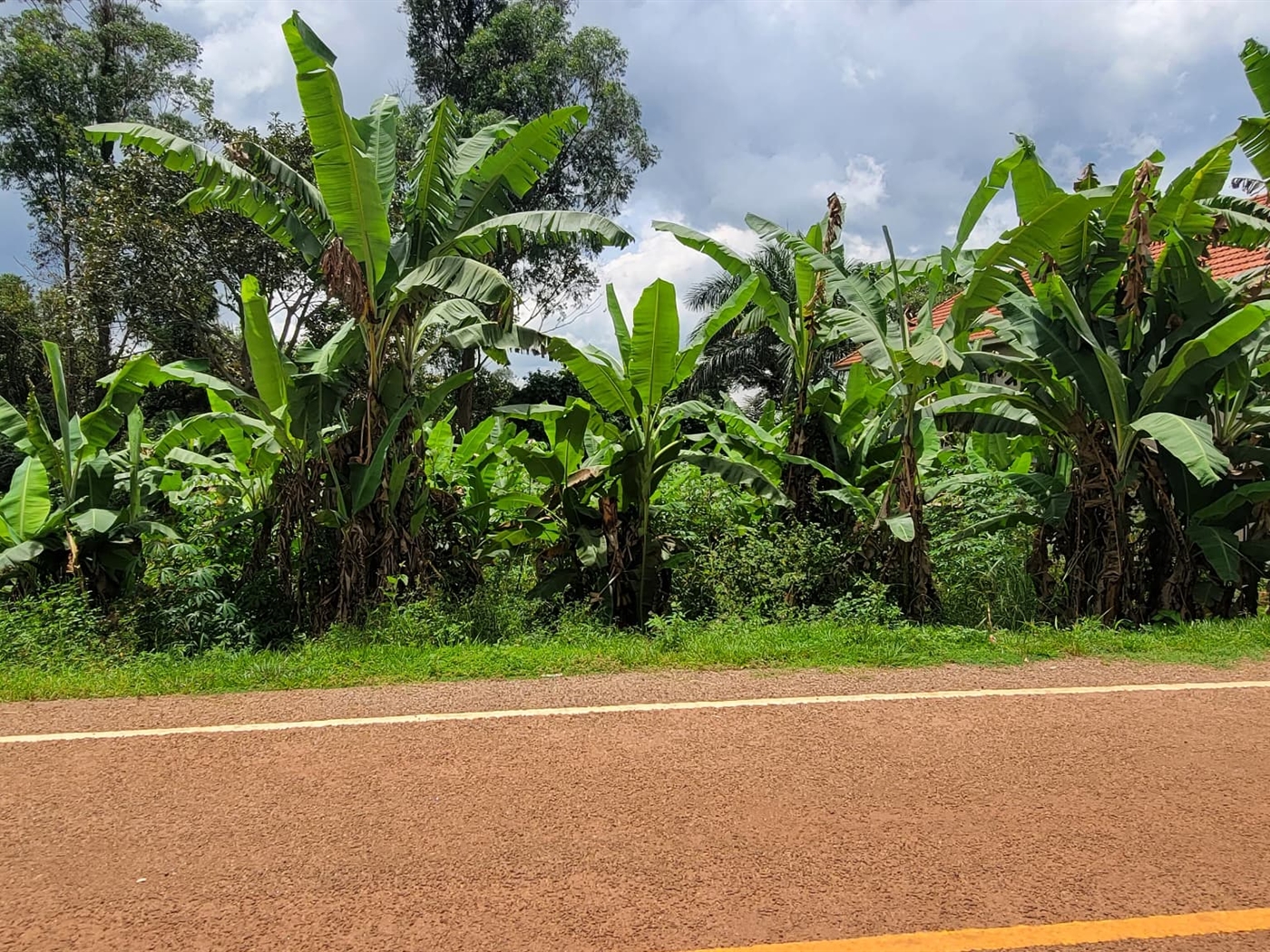 Residential land for sale in Bwebajja Wakiso Uganda