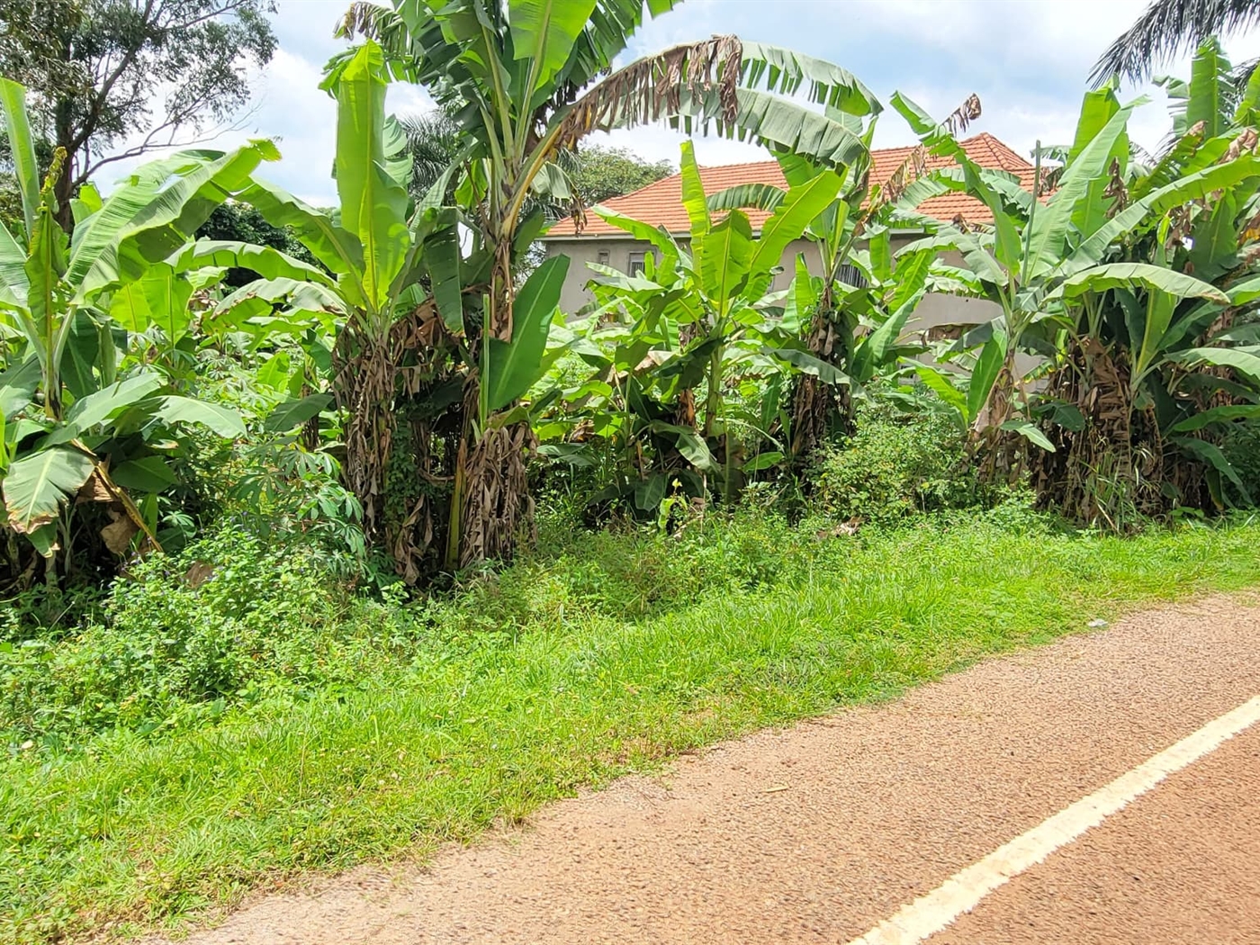 Residential land for sale in Bwebajja Wakiso Uganda