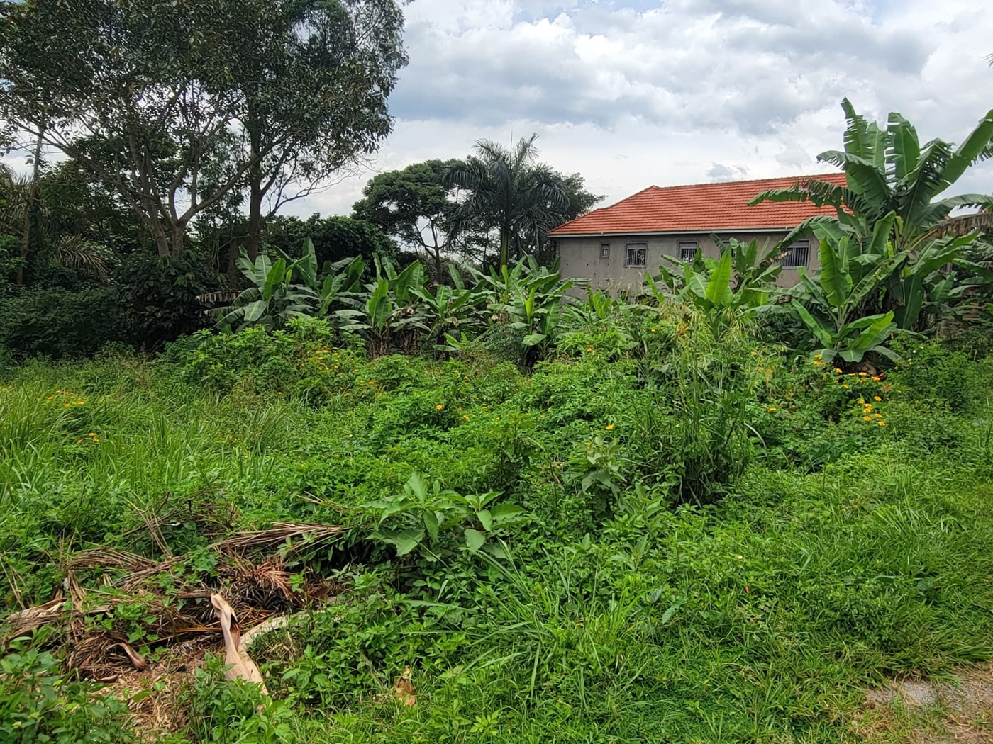 Residential land for sale in Bwebajja Wakiso Uganda