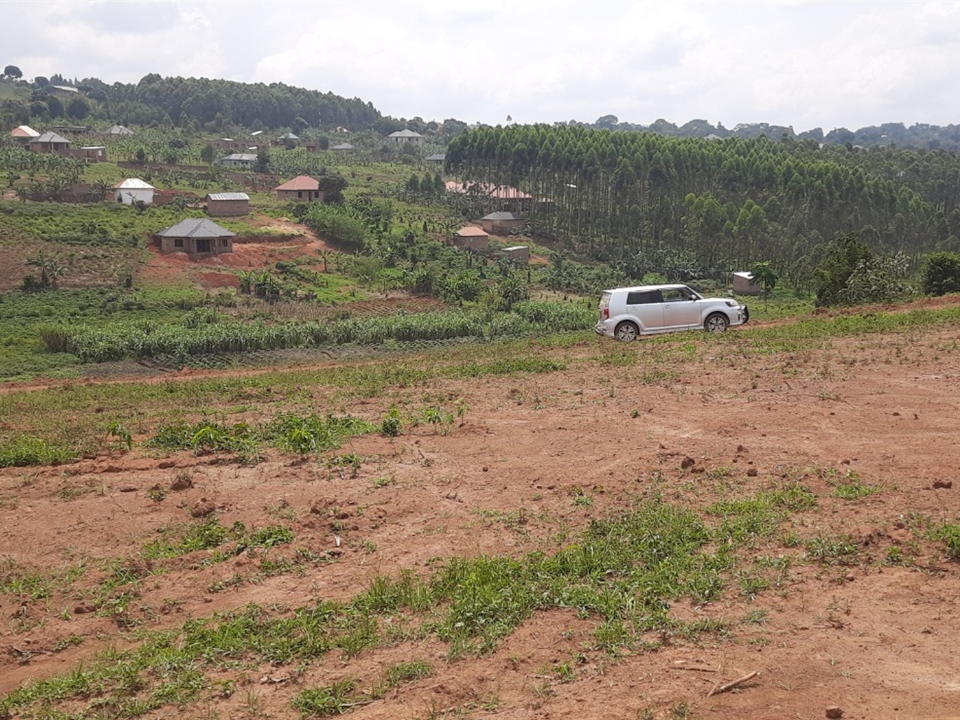 Residential land for sale in Nkoowe Wakiso Uganda
