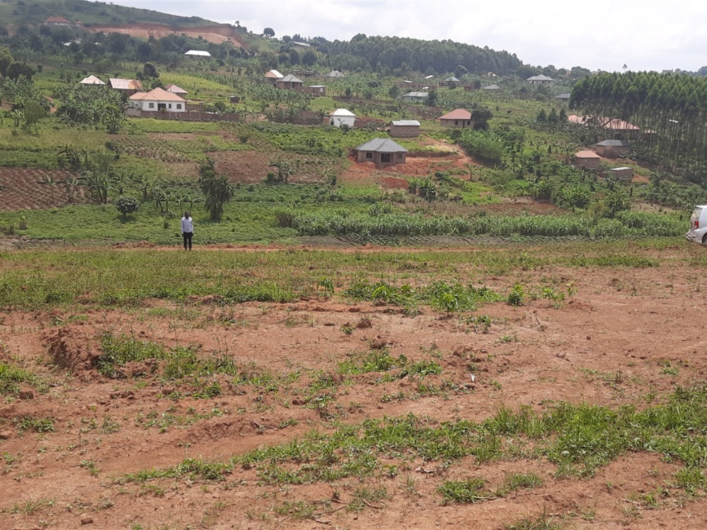 Residential land for sale in Nkoowe Wakiso Uganda