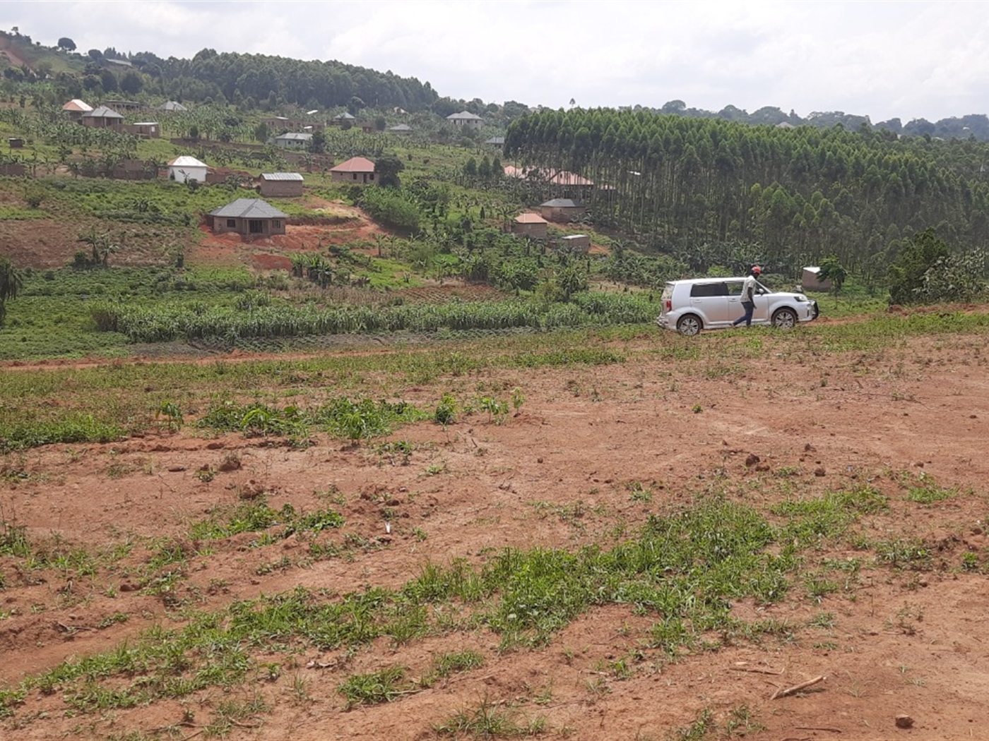 Residential land for sale in Nkoowe Wakiso Uganda