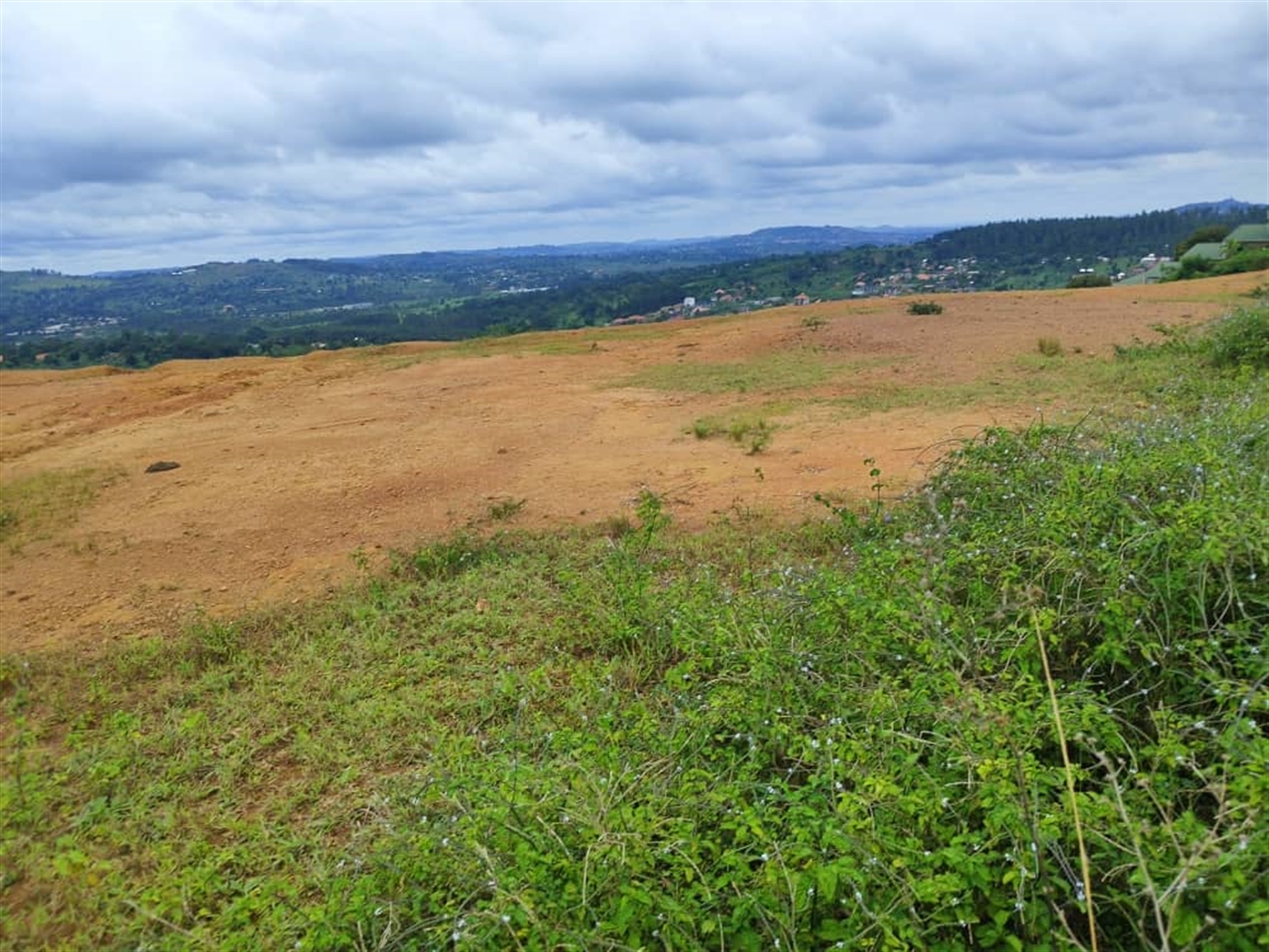 Residential land for sale in Nsaggu Wakiso Uganda