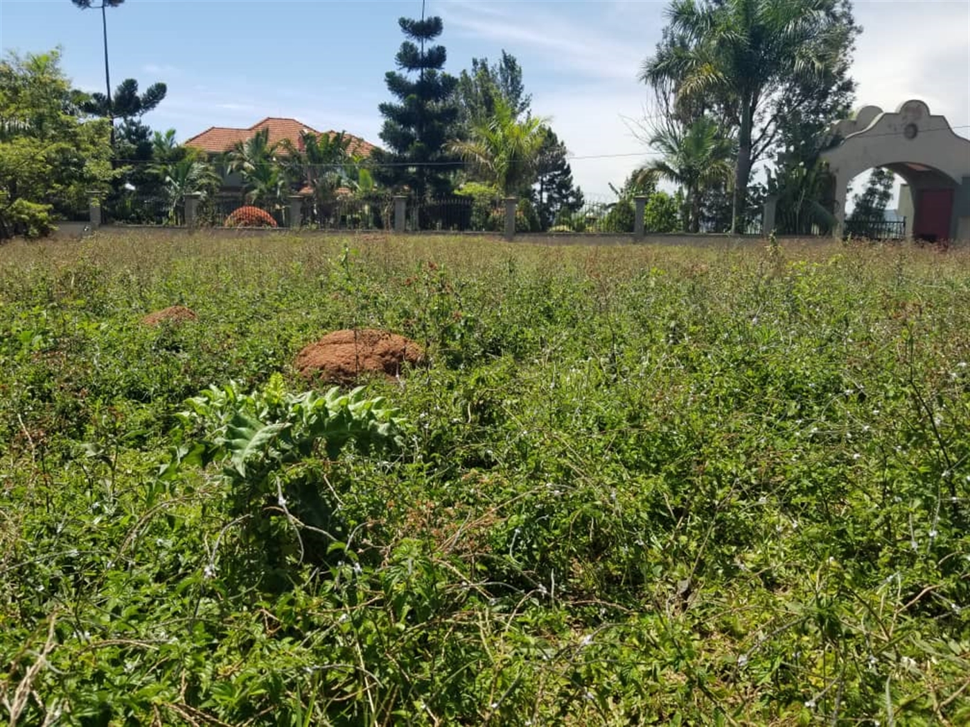 Residential land for sale in Nalumunye Wakiso Uganda
