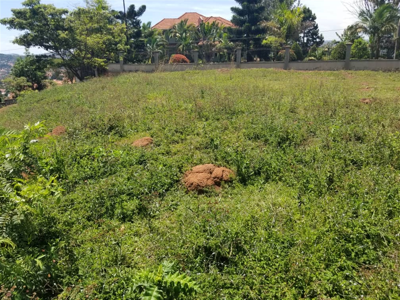 Residential land for sale in Nalumunye Wakiso Uganda