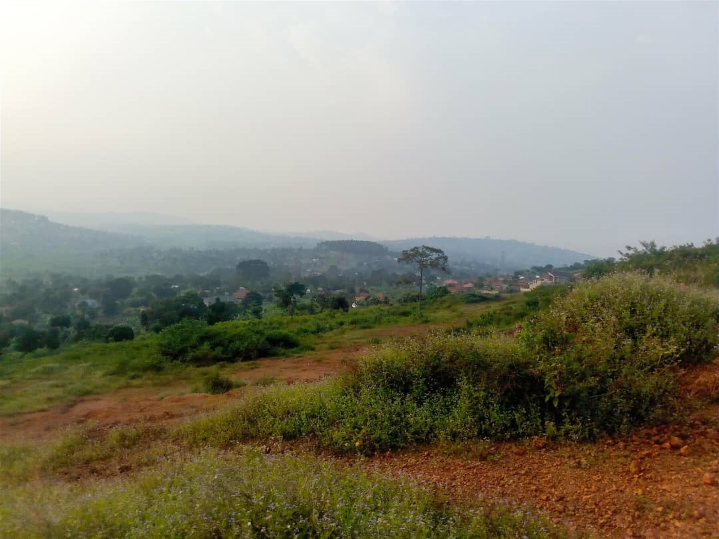Residential land for sale in Nakigalala Wakiso Uganda