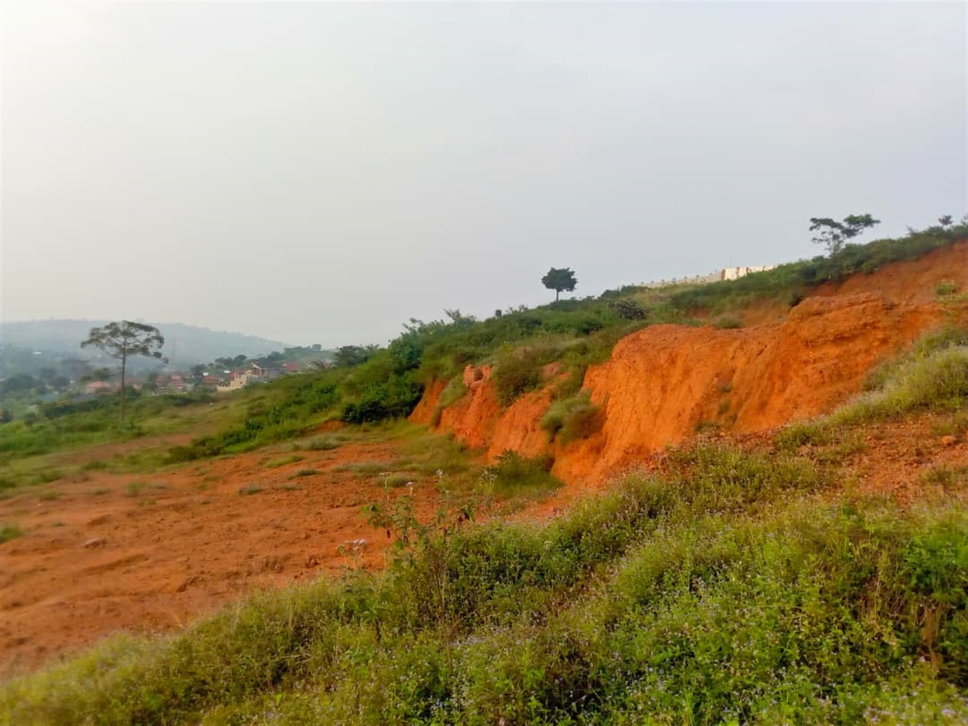 Residential land for sale in Nakigalala Wakiso Uganda