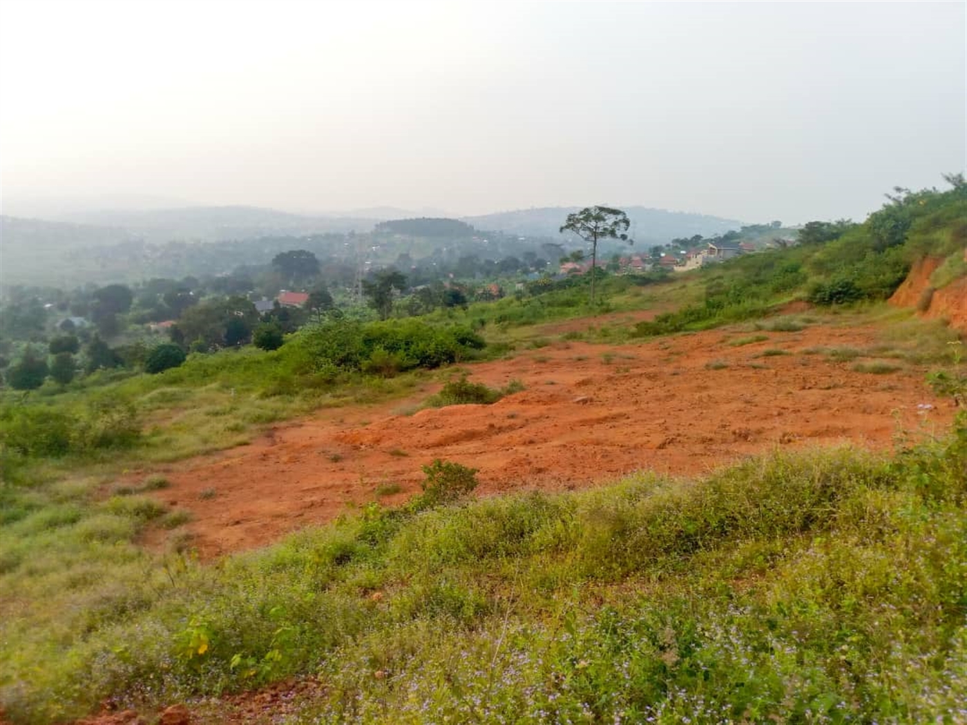 Residential land for sale in Nakigalala Wakiso Uganda