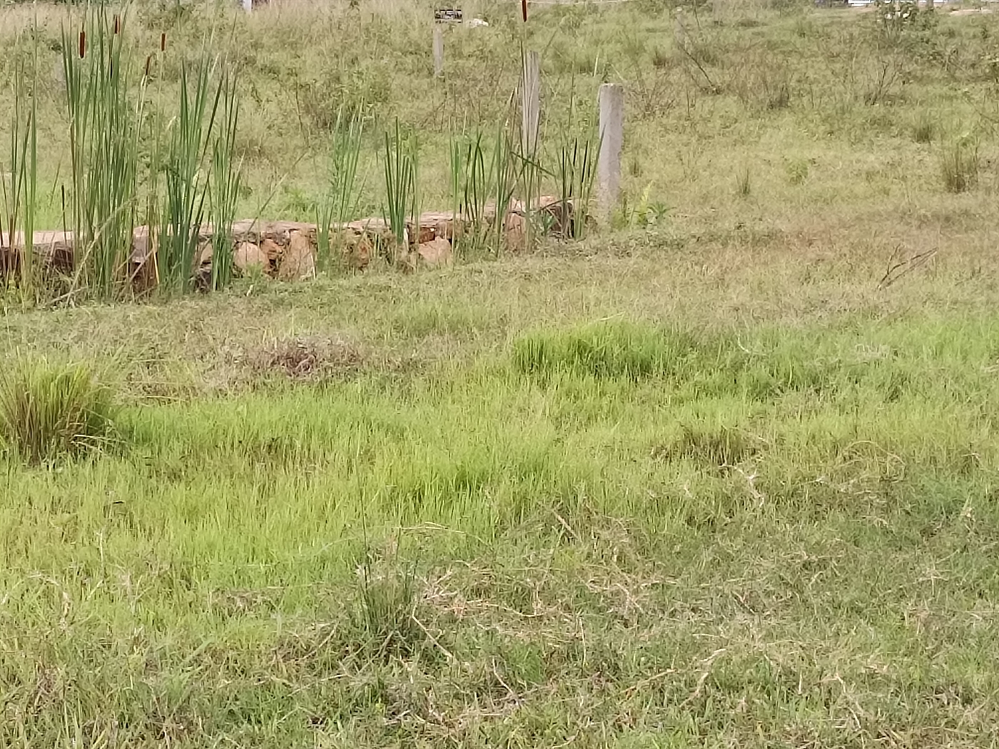 Residential land for sale in Kawempe Wakiso Uganda