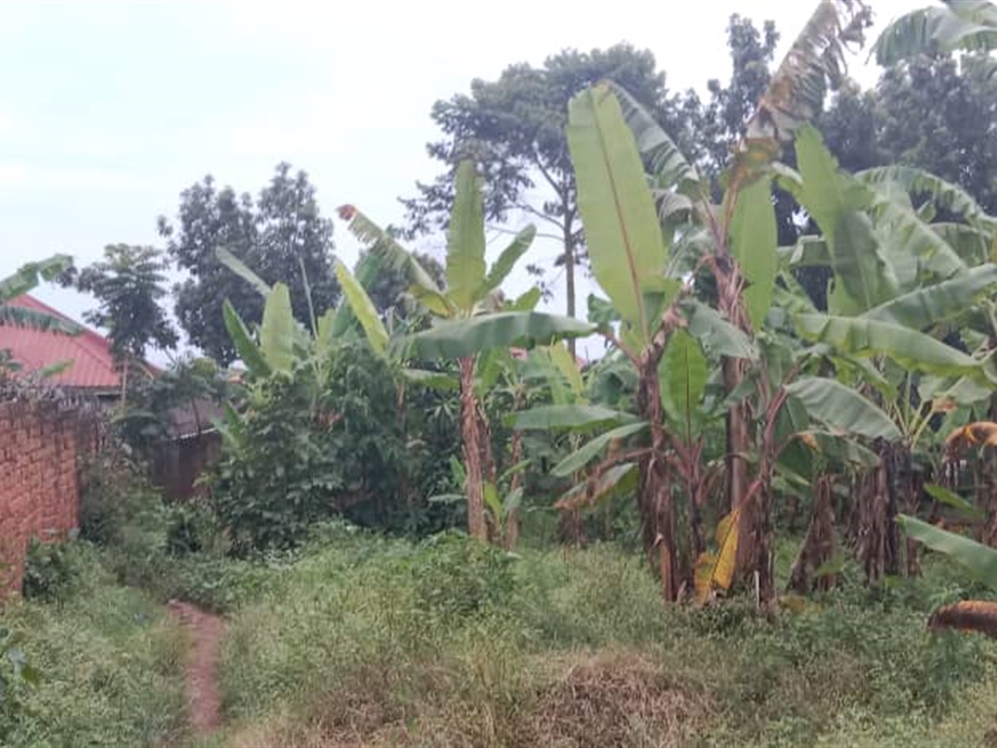 Residential land for sale in Kawempe Kampala Uganda