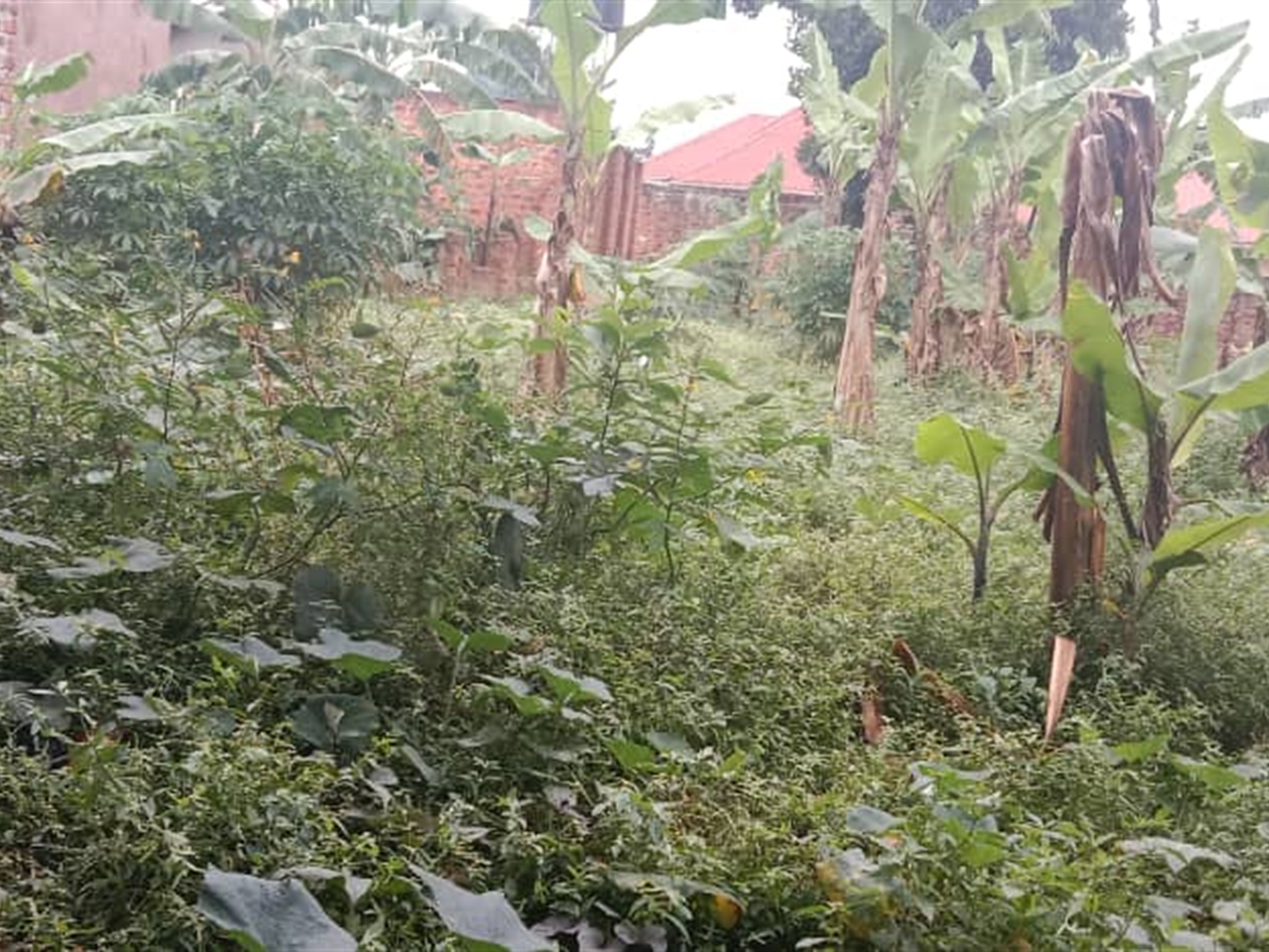 Residential land for sale in Kawempe Kampala Uganda