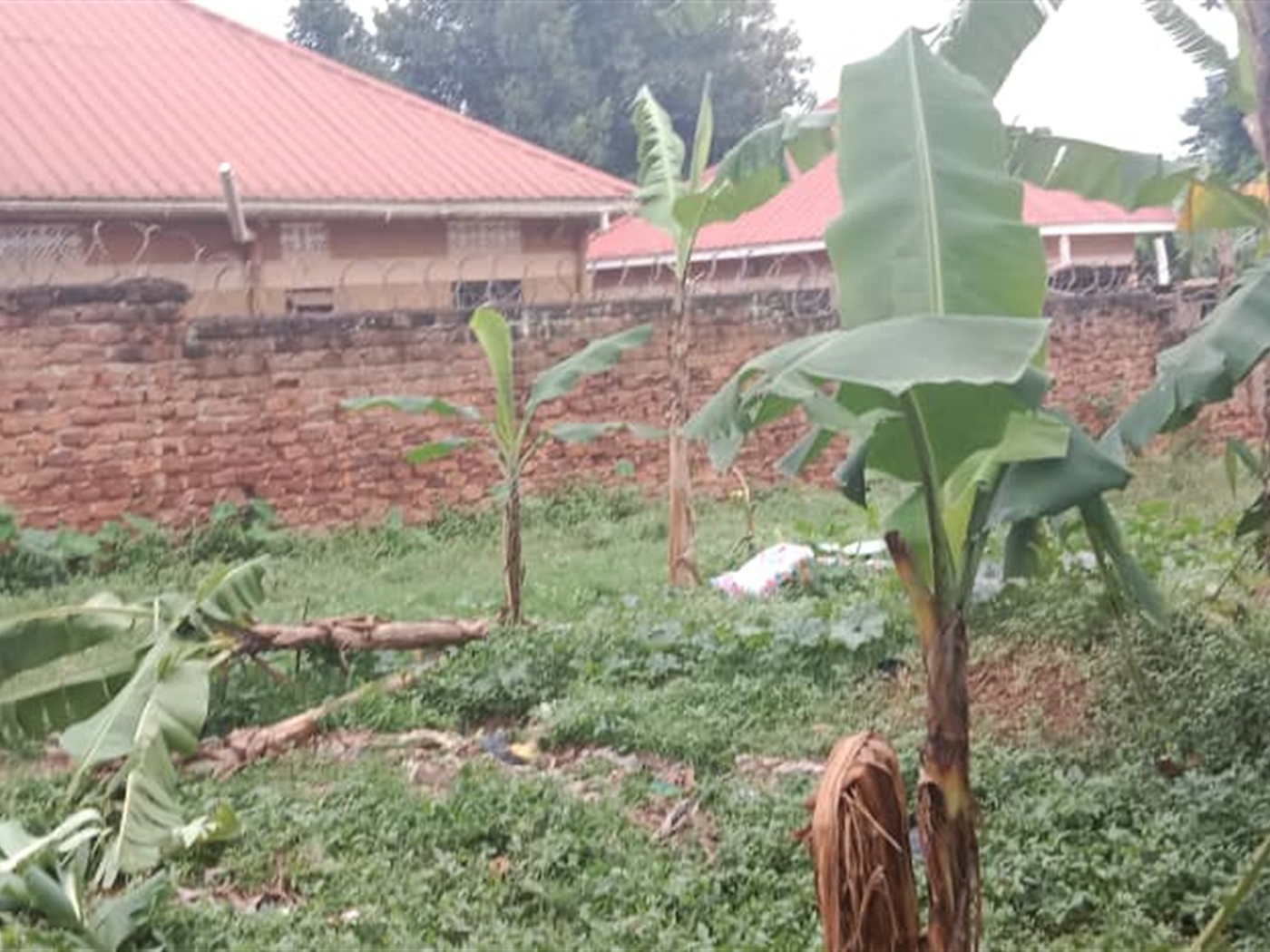 Residential land for sale in Kawempe Kampala Uganda