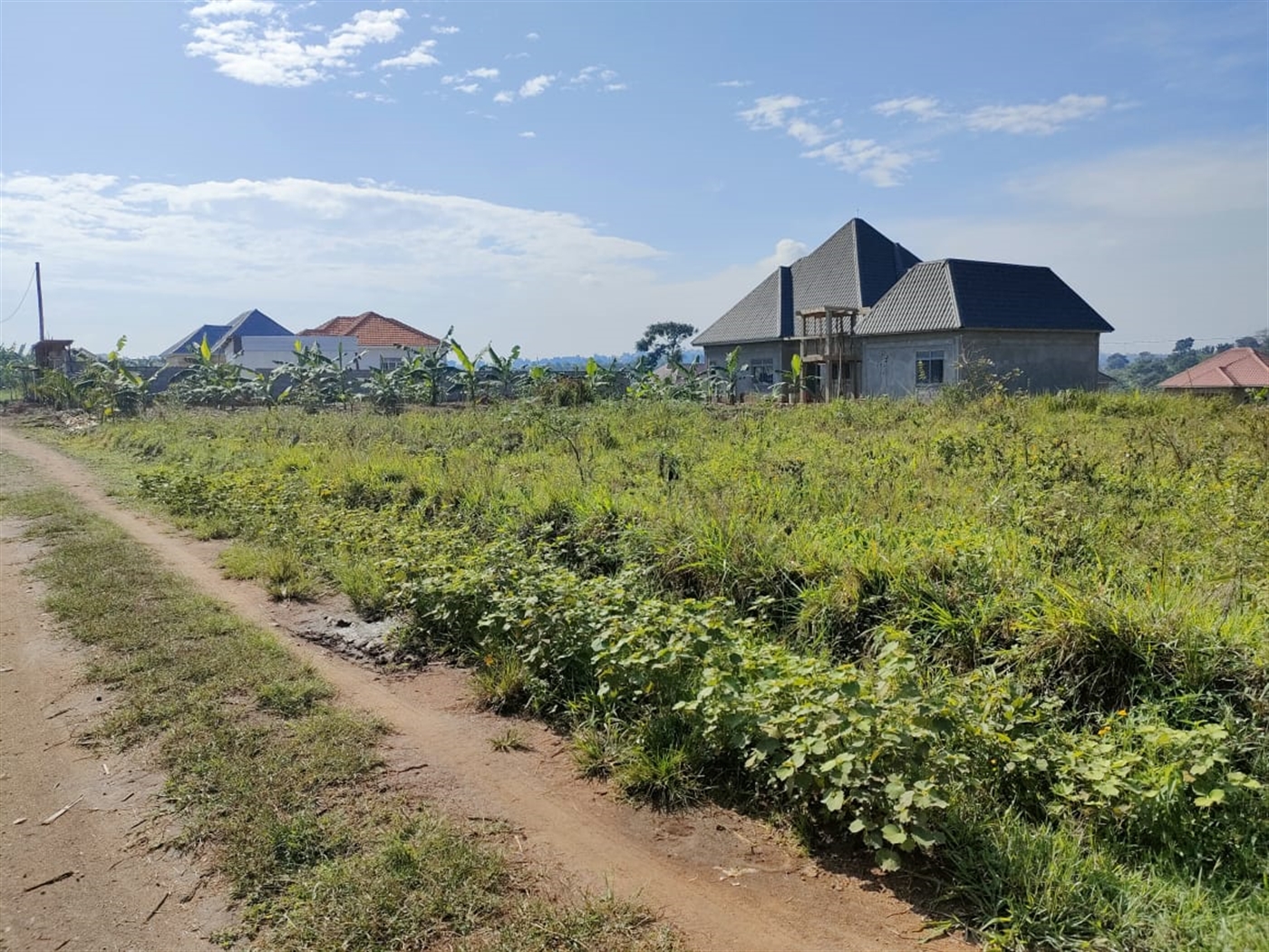 Residential land for sale in Namusela Wakiso Uganda