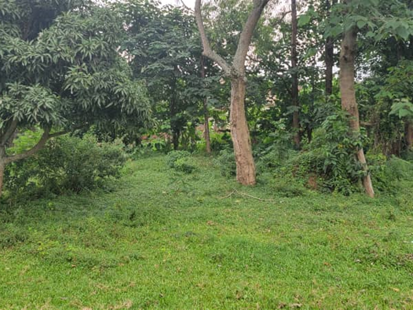 Residential land for sale in Kiwaatule Kampala Uganda
