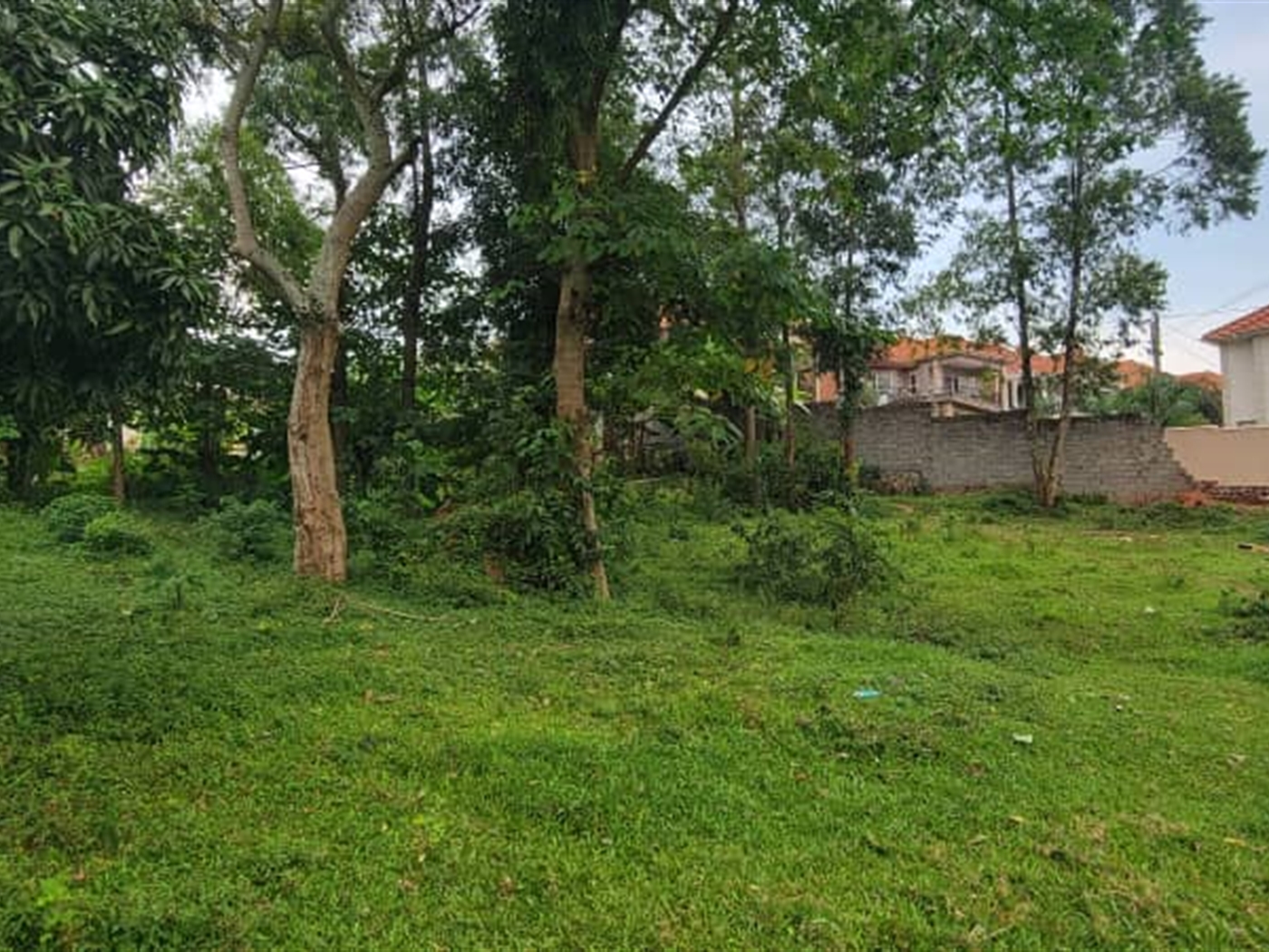 Residential land for sale in Kiwaatule Kampala Uganda