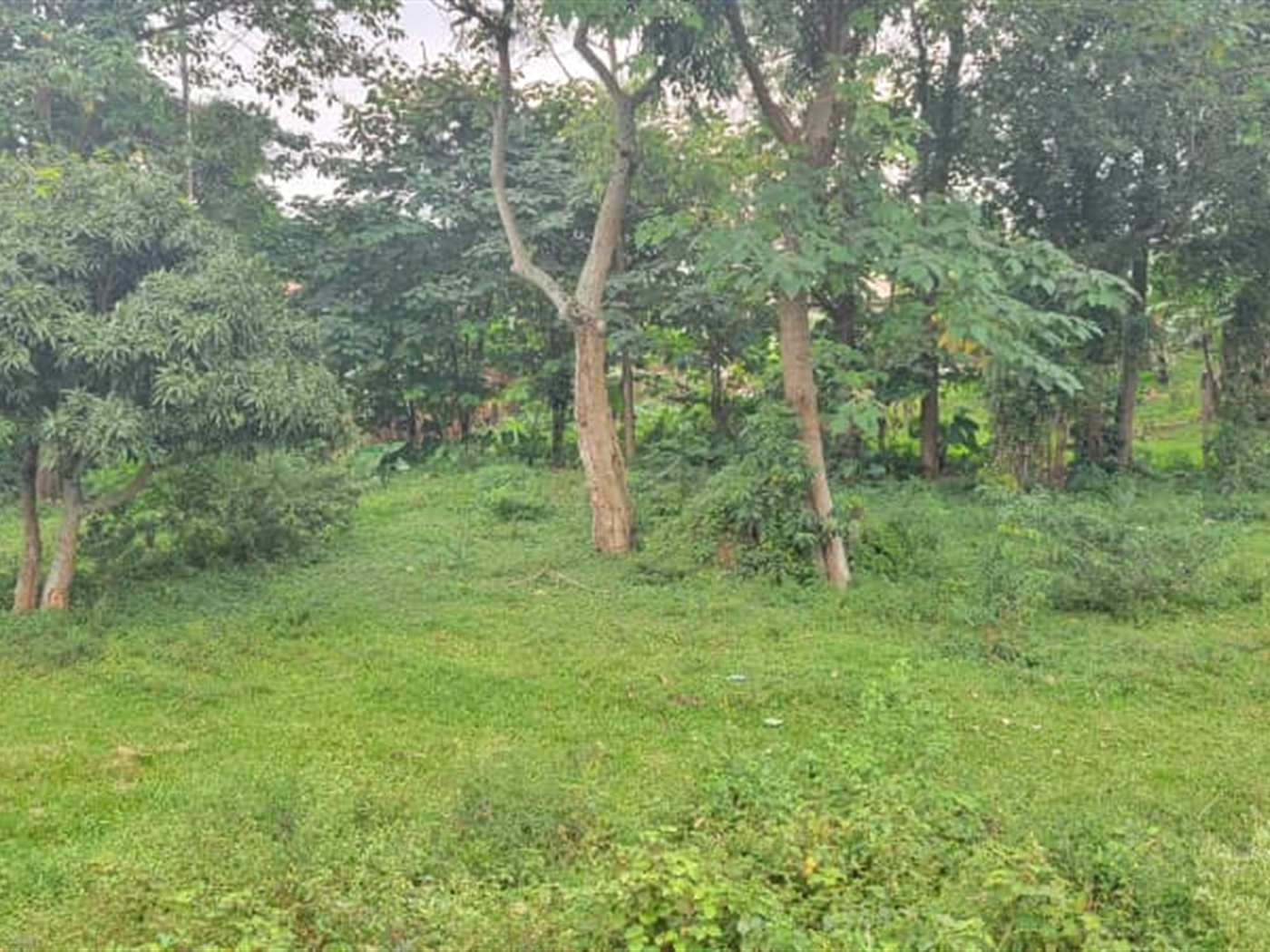 Residential land for sale in Kiwaatule Kampala Uganda