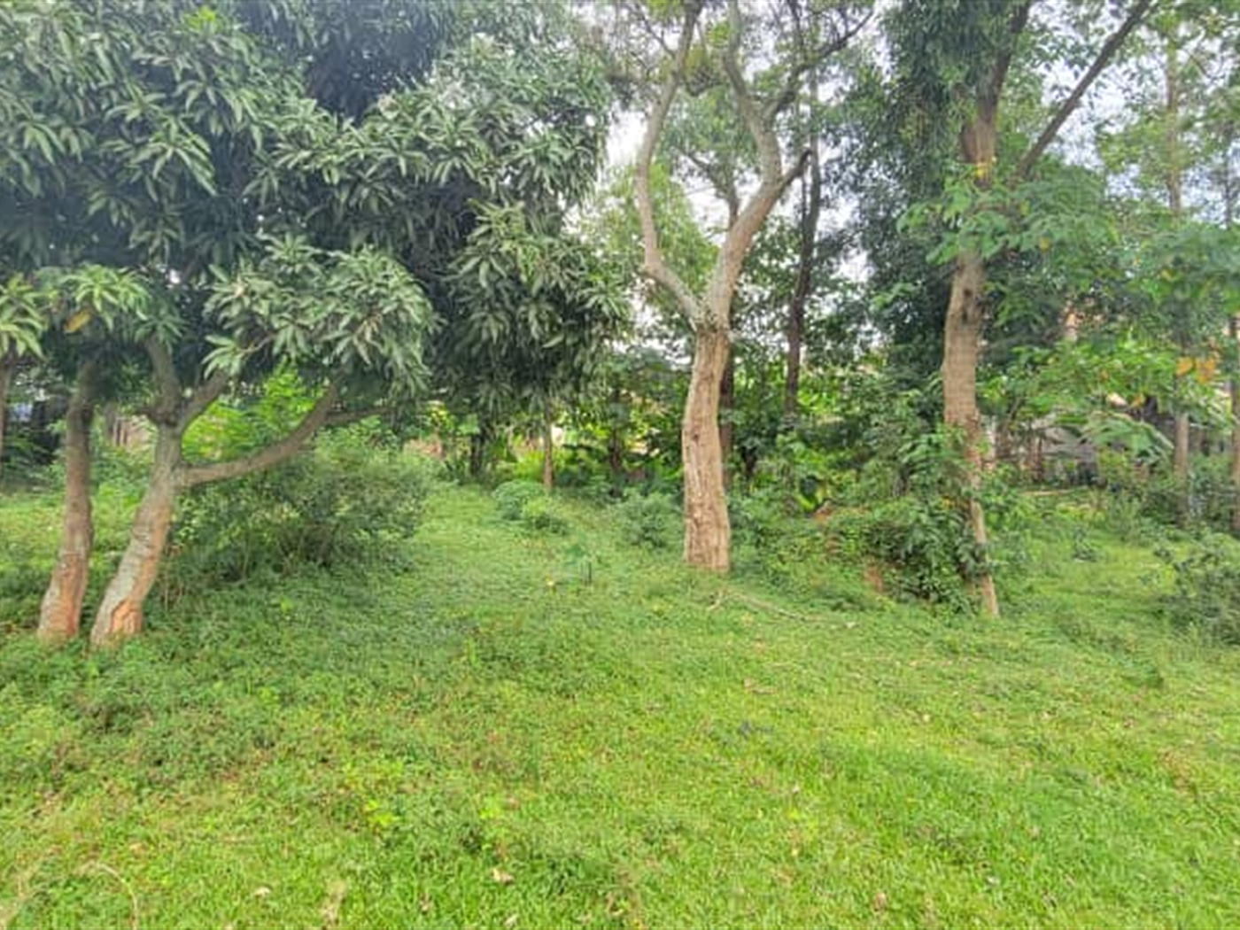 Residential land for sale in Kiwaatule Kampala Uga...