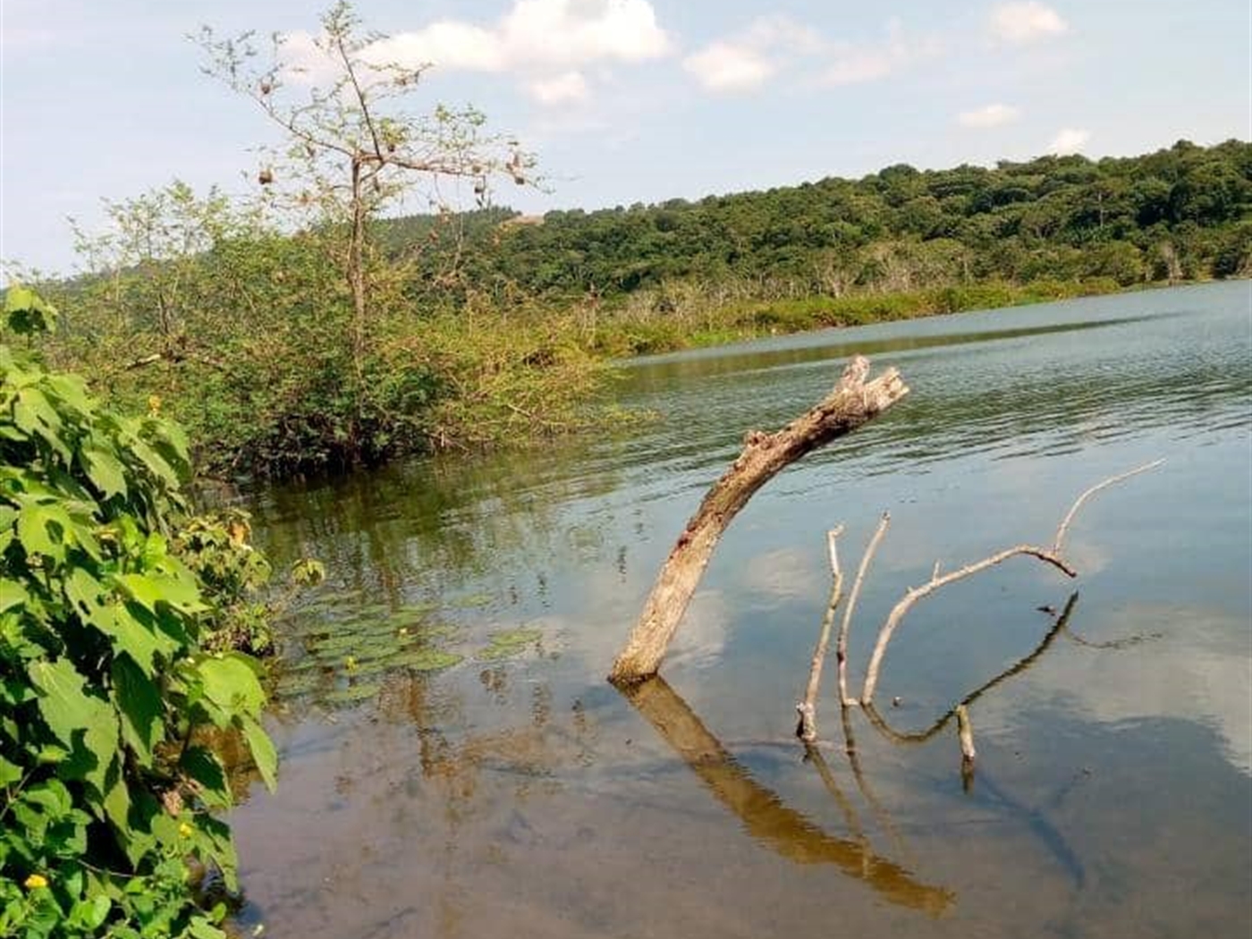 Residential land for sale in Nansagazi Jinja Uganda