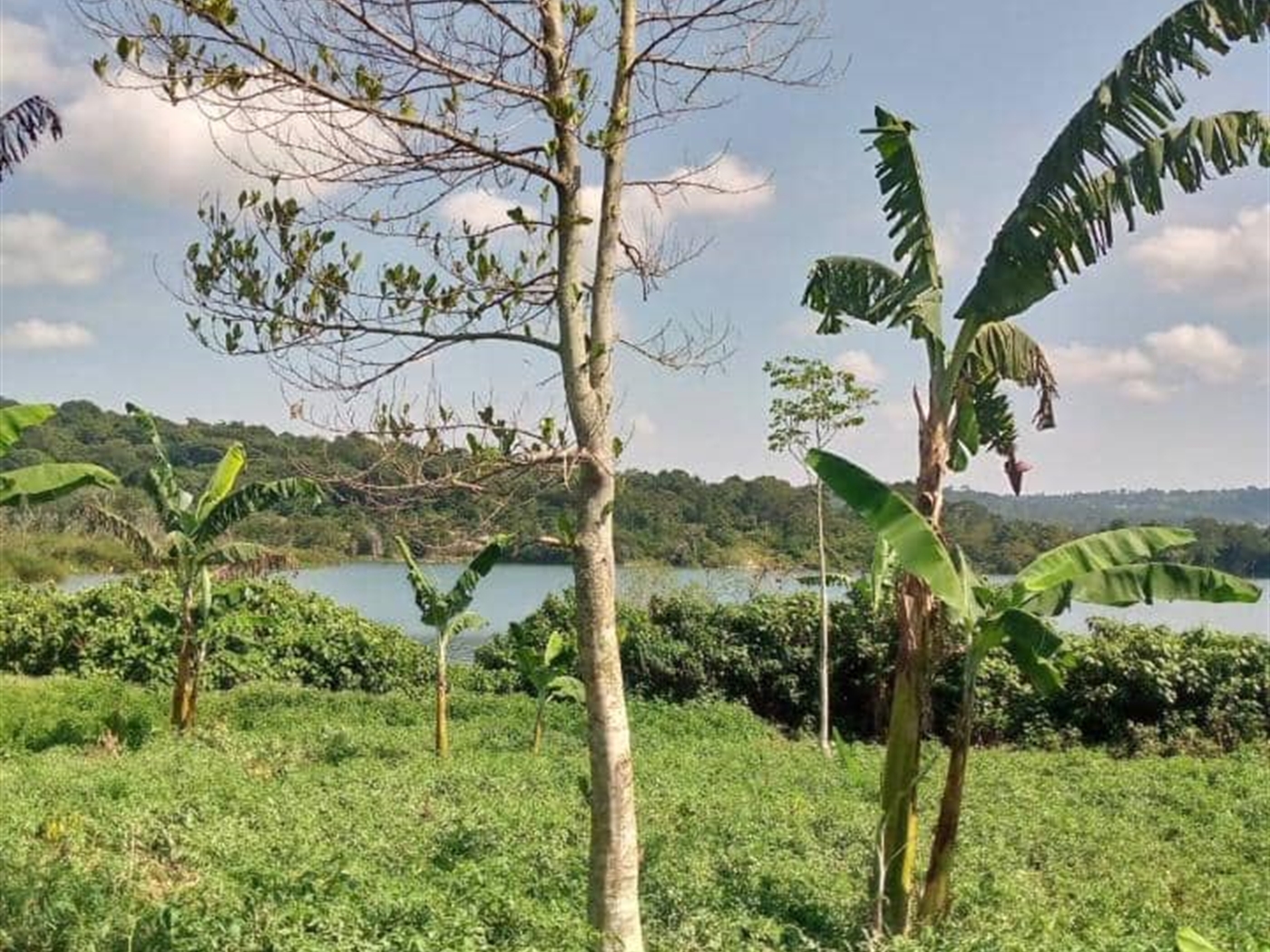 Residential land for sale in Nansagazi Jinja Uganda