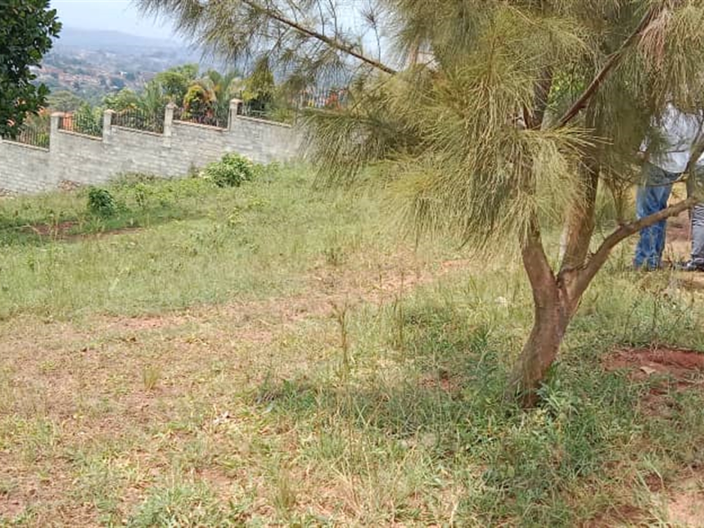 Residential land for sale in Mutundwe Wakiso Uganda