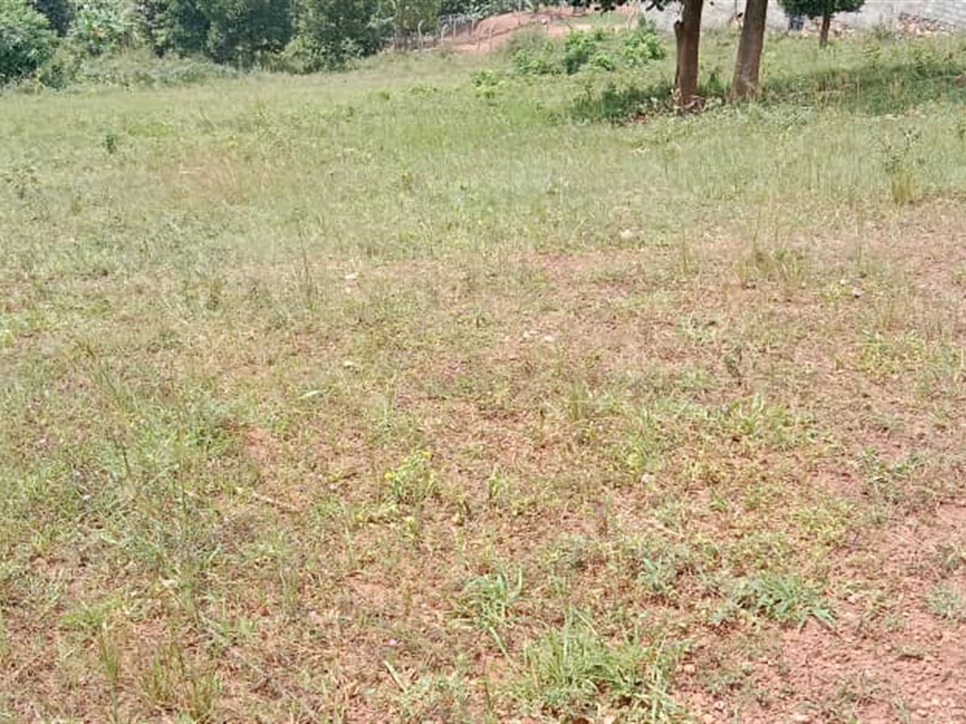 Residential land for sale in Mutundwe Wakiso Uganda