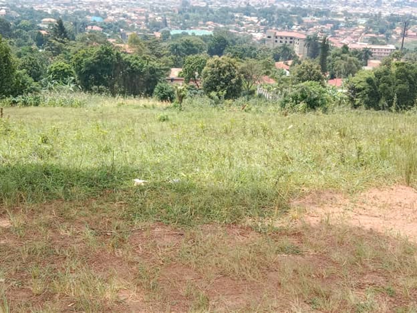 Residential land for sale in Mutundwe Wakiso Uganda