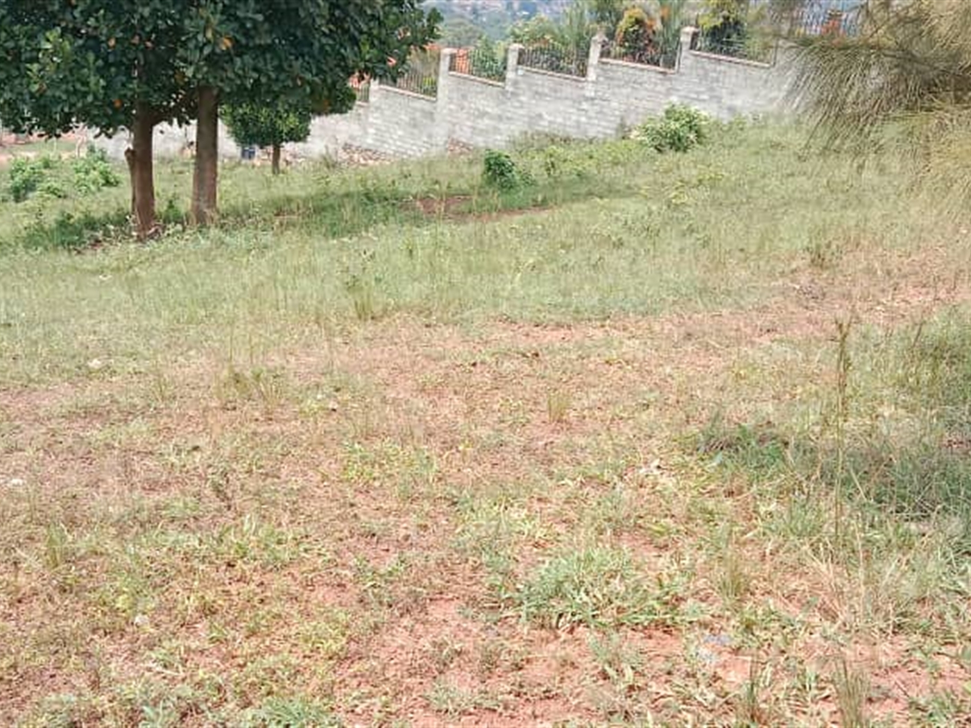 Residential land for sale in Mutundwe Wakiso Ugand...