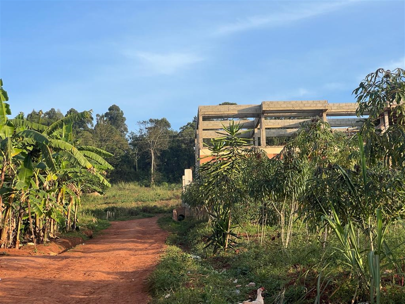 Residential land for sale in Maya Wakiso Uganda