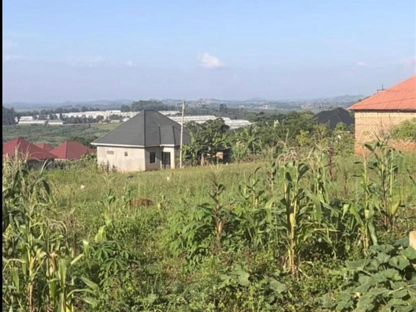 Residential land for sale in Maya Wakiso Uganda