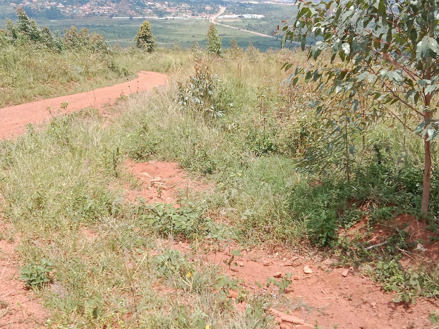 Residential land for sale in Maya Mpigi Uganda