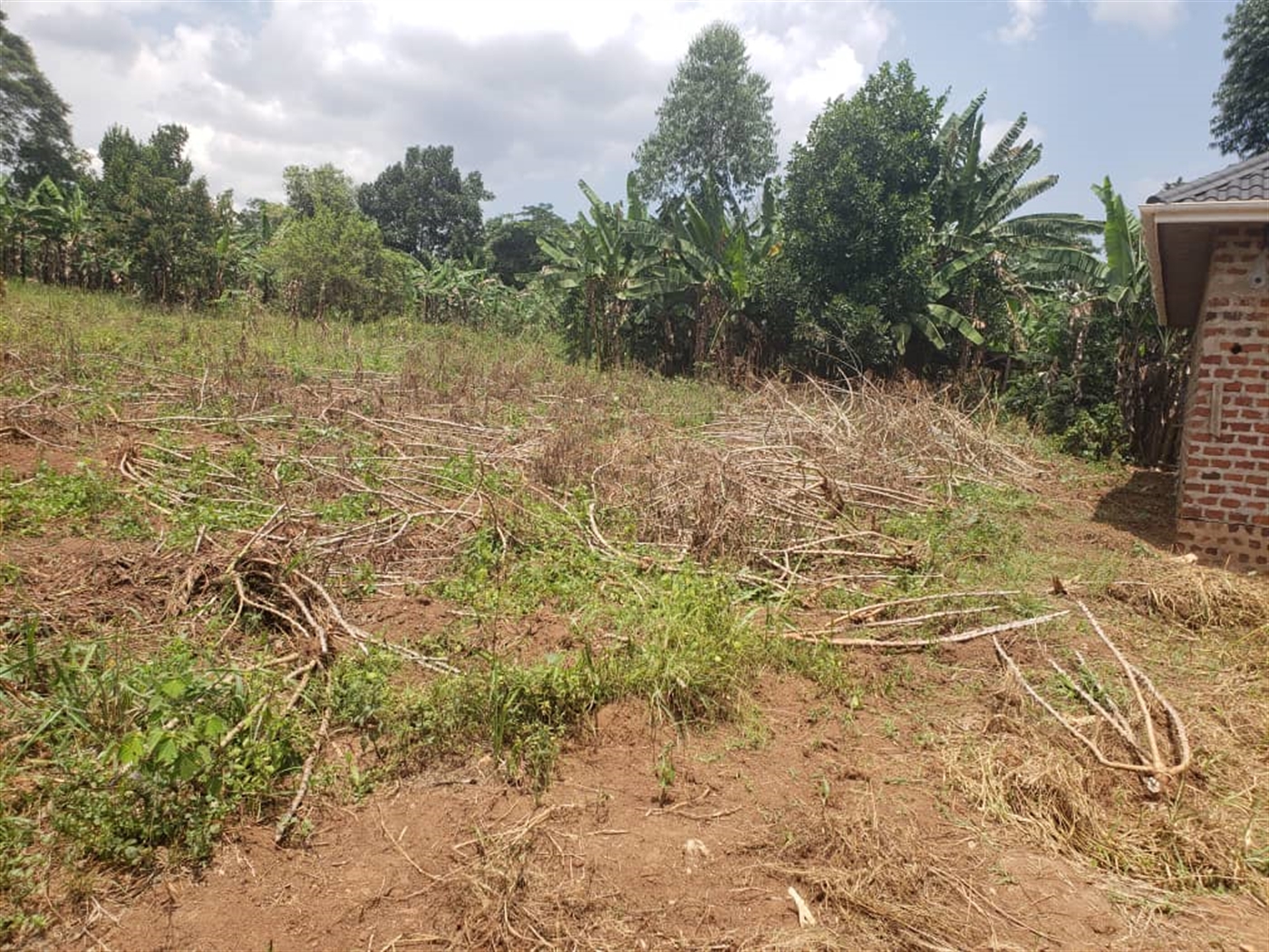 Residential land for sale in Mpoma Mukono Uganda