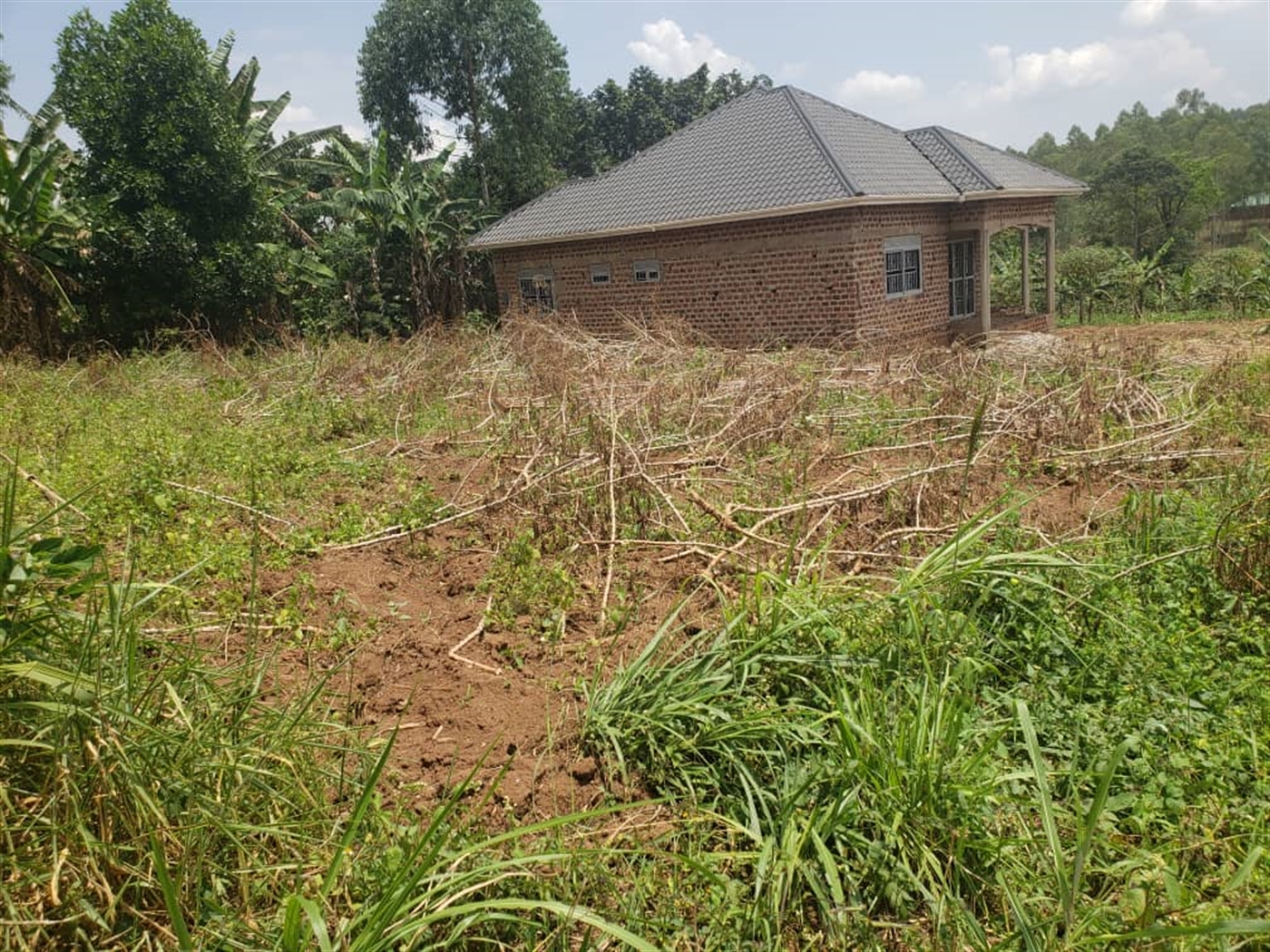 Residential land for sale in Mpoma Mukono Uganda