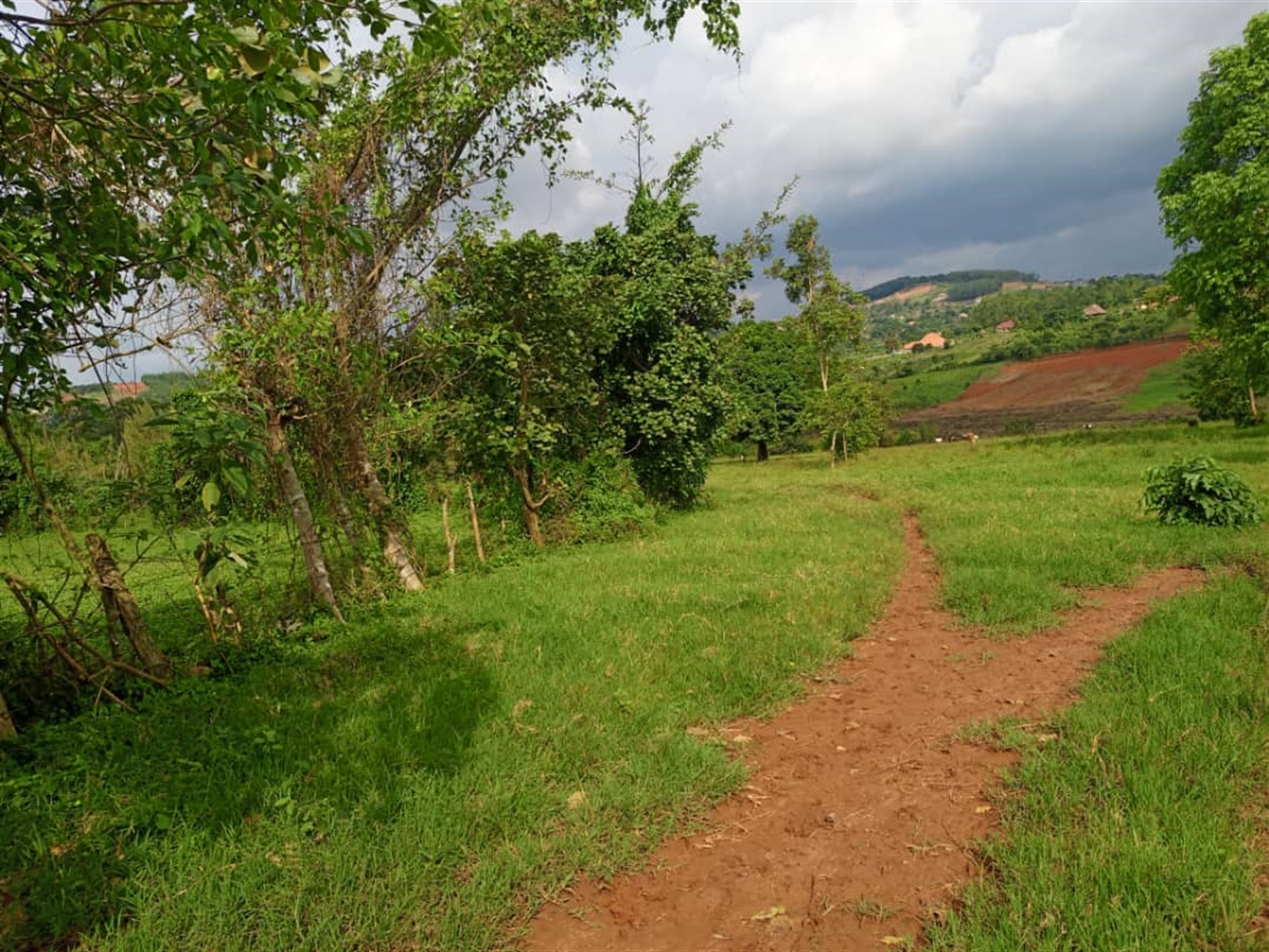 Residential land for sale in Mubango Wakiso Uganda