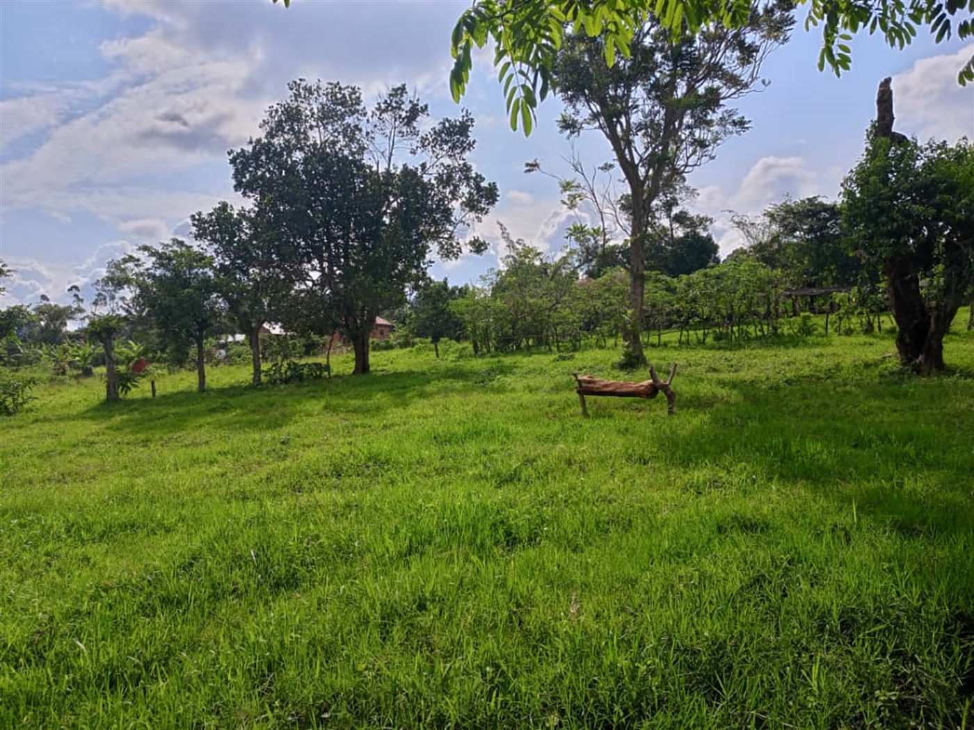 Residential land for sale in Mubango Wakiso Uganda