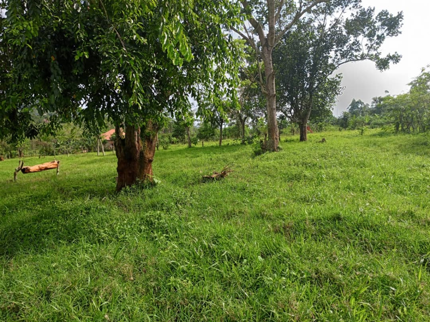 Residential land for sale in Mubango Wakiso Uganda