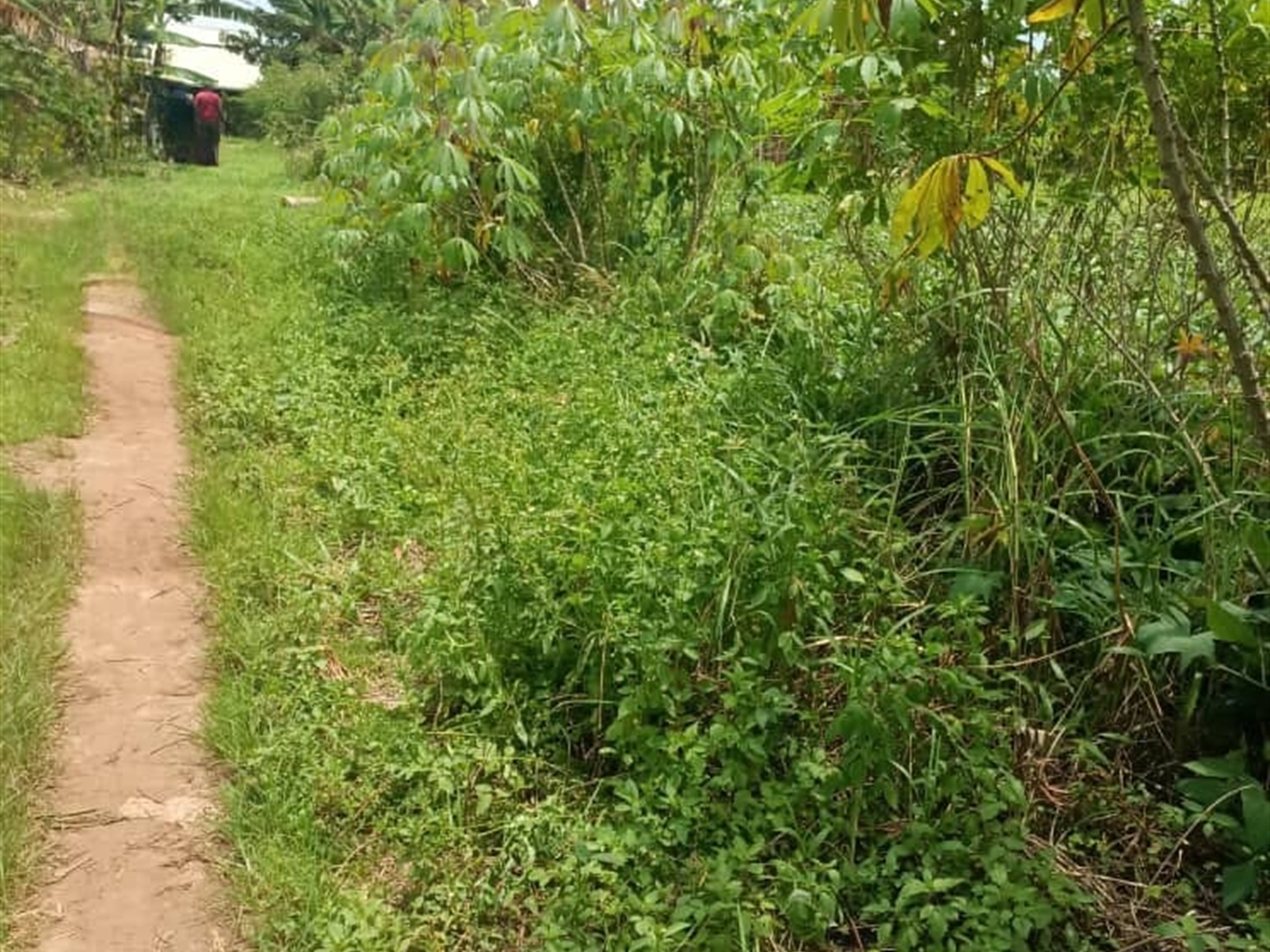 Residential land for sale in Mende Wakiso Uganda
