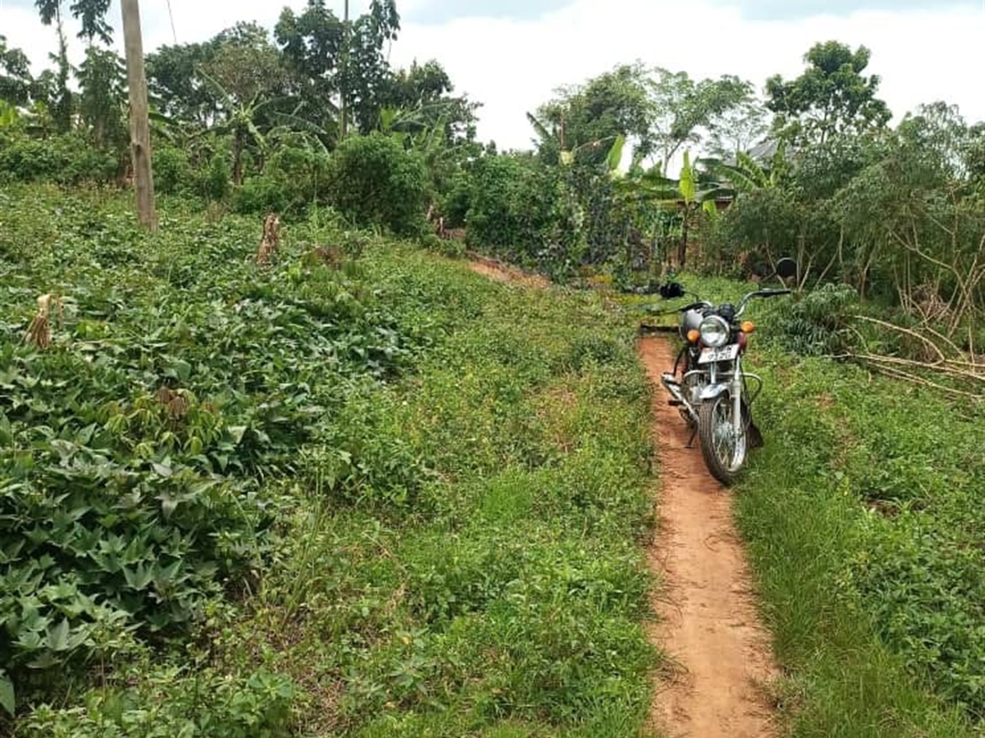 Residential land for sale in Mende Wakiso Uganda
