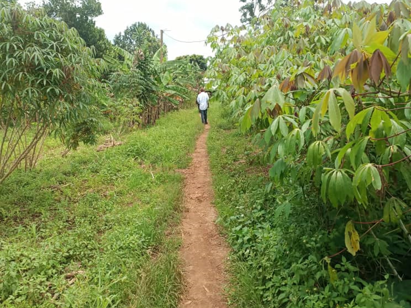 Residential land for sale in Mende Wakiso Uganda