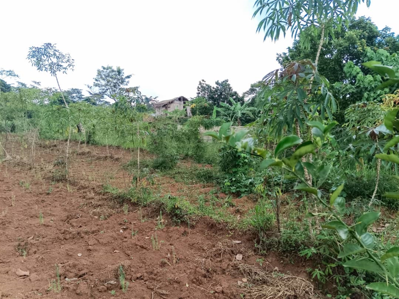 Residential land for sale in Katosi Mukono Uganda