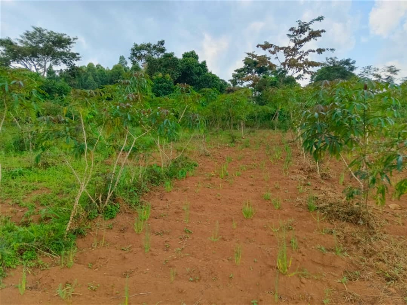 Residential land for sale in Katosi Mukono Uganda