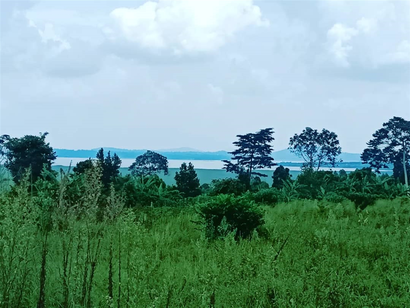Residential land for sale in Katosi Mukono Uganda