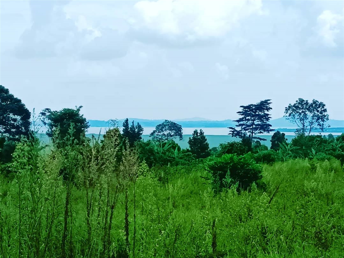 Residential land for sale in Katosi Mukono Uganda