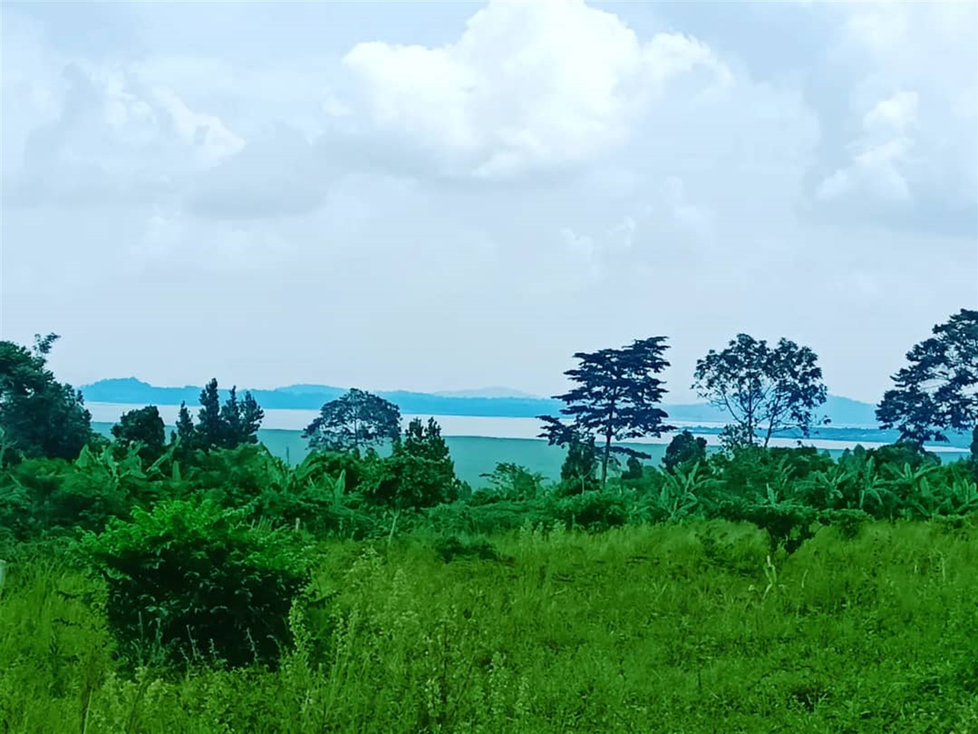 Residential land for sale in Katosi Mukono Uganda